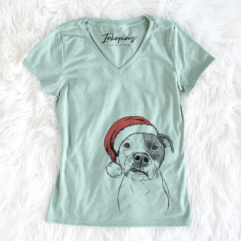 Santa Dexter the Pitbull - Women's V-neck Shirt-- Graphic Embroidered Appliqued