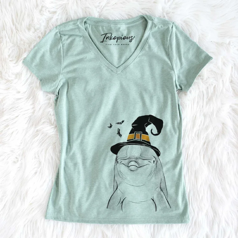 Witch Dave the Dolphin - Women's V-neck Shirt-- Terry Blend Velvet Blend Canvas Blend Witch Dave the Dolphin - Women's V-neck Shirt-- Terry Blend Velvet Blend Canvas Blend