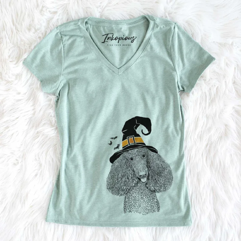 Witch Henry the Standard Poodle - Women's V-neck Shirt-- Solid Color Striped Floral